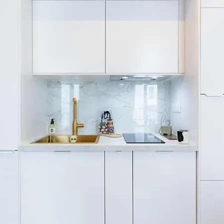 Appartamento Charmant 2 Pieces Spacieux - Proche Champs Elysees - H285